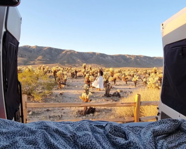 Vanlife Joshua Tree National Park Cholla Cactus Garden